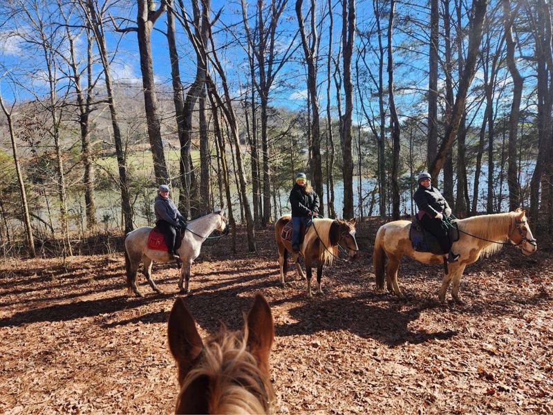 Rescued Horses With the Smoothest Moves in Town Rescued Horses With the Smoothest Moves in Town