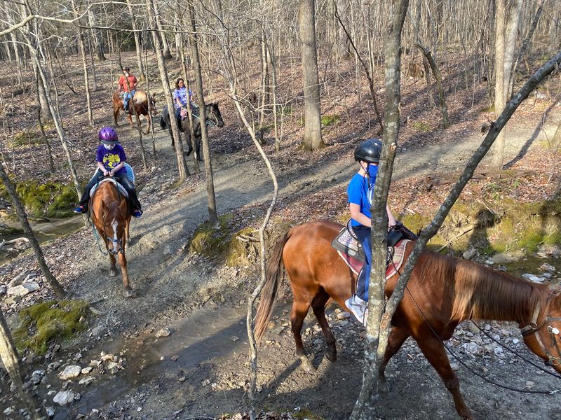 Ride Options From Quick to Private Ride Options From Quick to Private