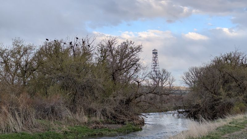 River Access Near the Lot