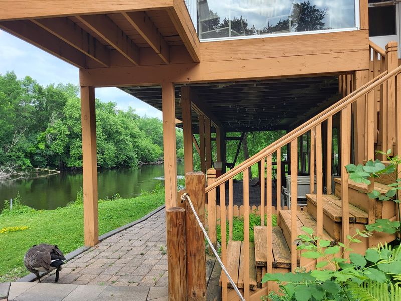 River Views and Feathered Neighbors