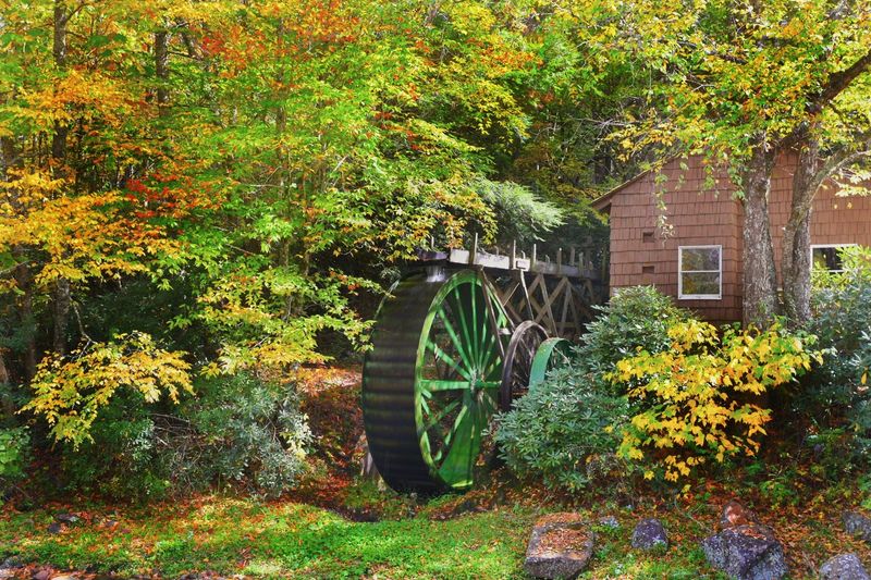 Roan Mountain State Park, Roan Mountain, TN