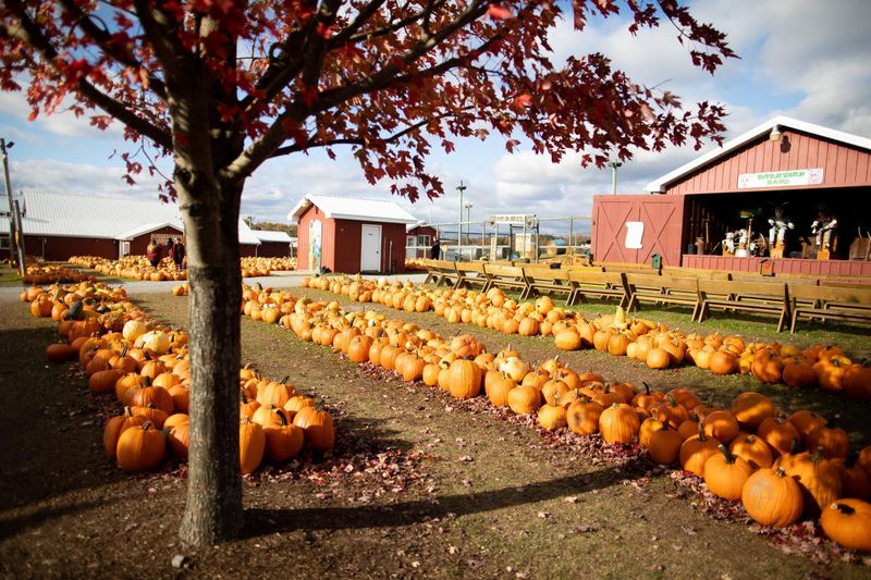 Roba Family Farms, North Abington Township Roba Family Farms, North Abington Township