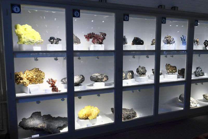 Rock Stars of the Mineral Wing