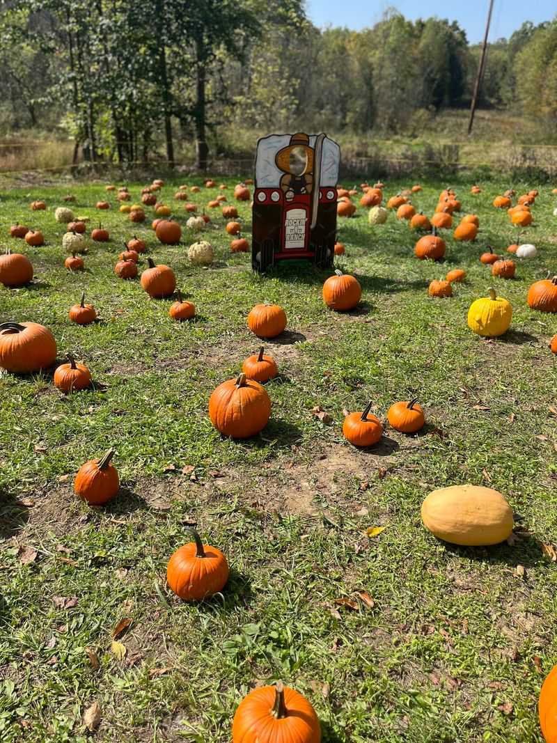 Rockin R Ranch Old West Pumpkin Fest