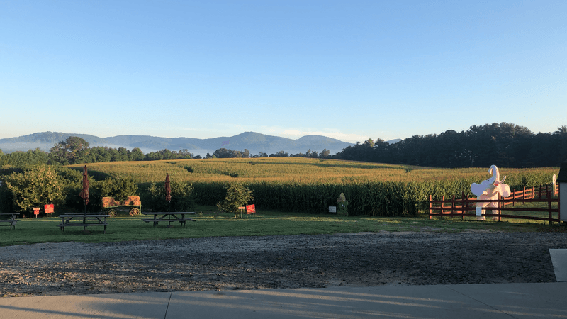 Rocking Chairs With a Mountain View