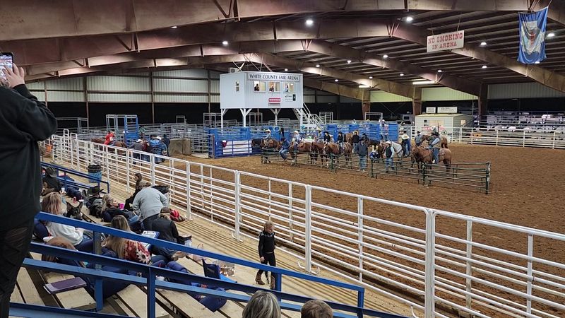 Rodeo Nights in the Arena Rodeo Nights in the Arena