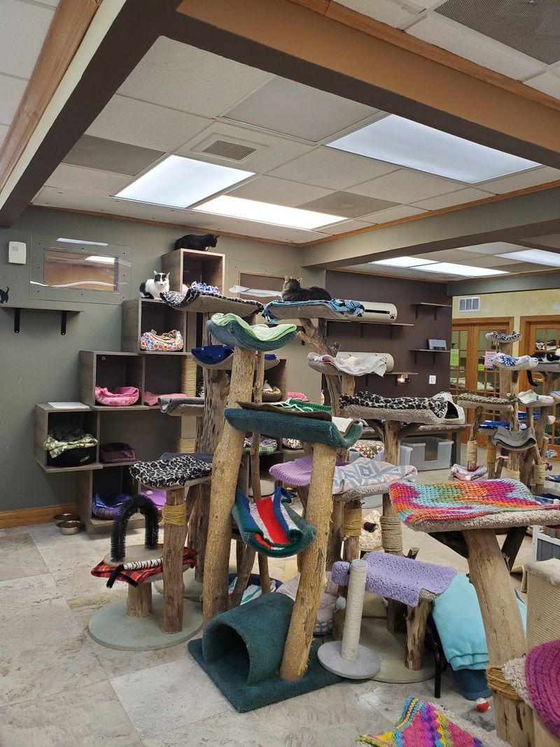 Room to Roam, Climb, and Play Room to Roam, Climb, and Play