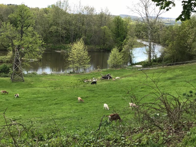 Room to Roam in Ulster County