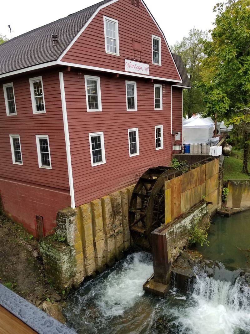 Rooted in Mill Country History Rooted in Mill Country History