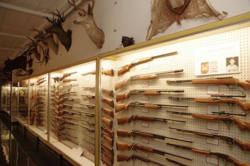 Rows of Rifles Spanning Centuries