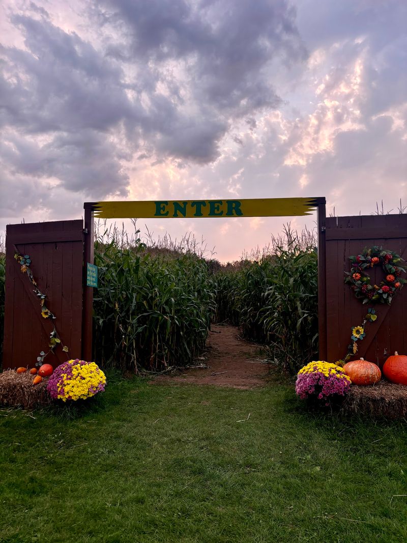 Ru-Ridge Corn Maze, Carlton, MN Ru-Ridge Corn Maze, Carlton, MN