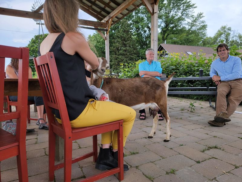 Goat Yoga, Elf Costumes, and Other Wonderfully Odd Illinois Farm Events Goat Yoga, Elf Costumes, and Other Wonderfully Odd Illinois Farm Events