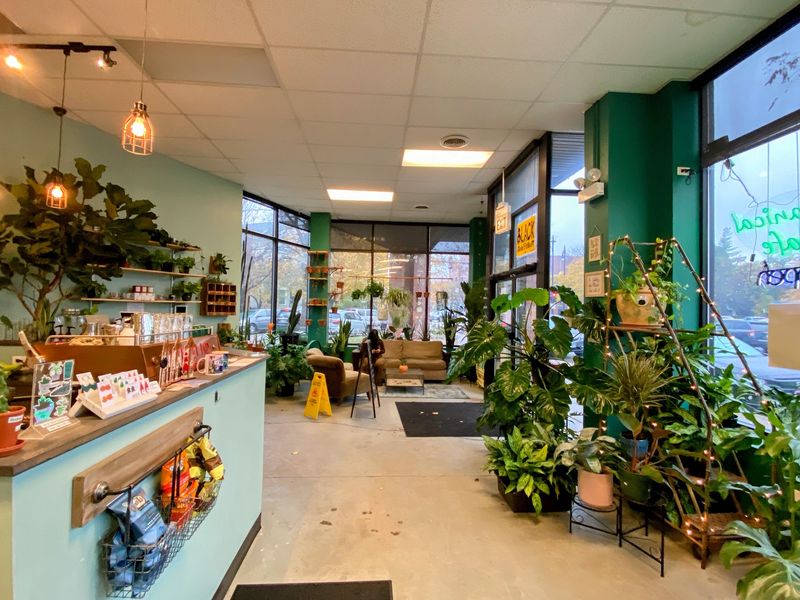 Botanical Cafe (Chicago) Botanical Cafe (Chicago)