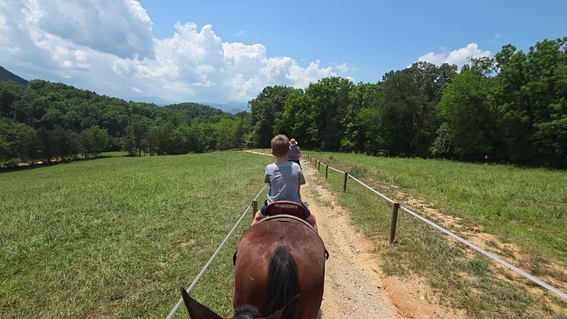 Saddle Up! Explore Tennessee's Scenic Mountain Trails on Horseback Saddle Up! Explore Tennessee's Scenic Mountain Trails on Horseback
