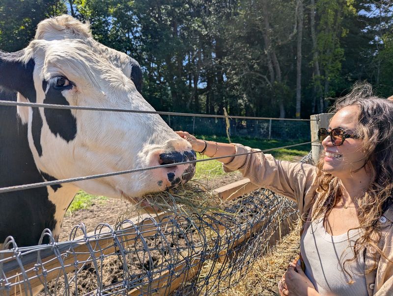 Safe Haven Farm Sanctuary, Poughquag, NY Safe Haven Farm Sanctuary, Poughquag, NY