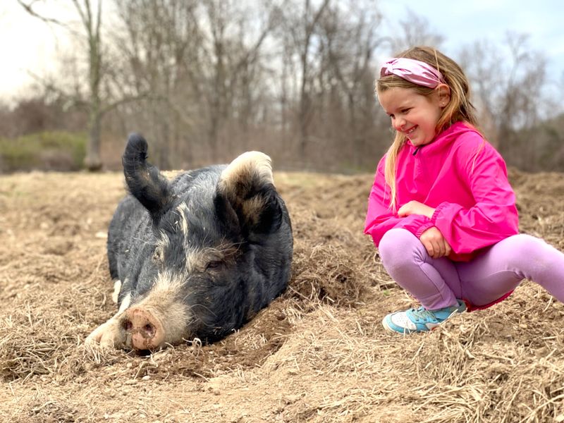 Sanctuary Rules, Not Petting Zoo Rules