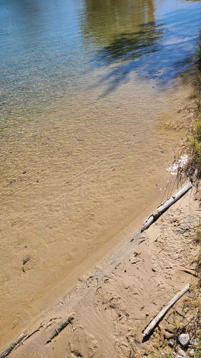 Sand Under Your Toes, Not Tile Sand Under Your Toes, Not Tile