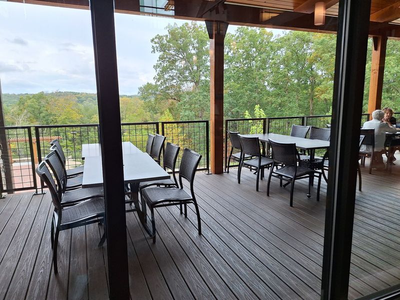 Save Room For Dinner With A Forest View