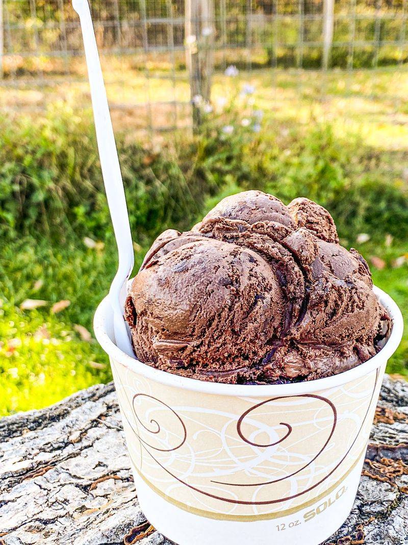 Save a Little Room for Ice Cream and the Country Store Save a Little Room for Ice Cream and the Country Store