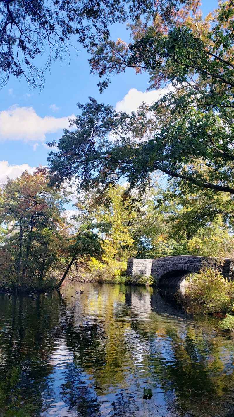 Scarboro Pond