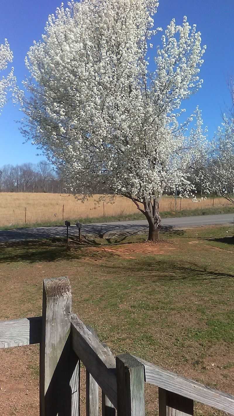 Scenic Backroads Complete This Tennessee Town Escape