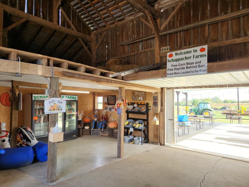 Schappacher Farms Schappacher Farms