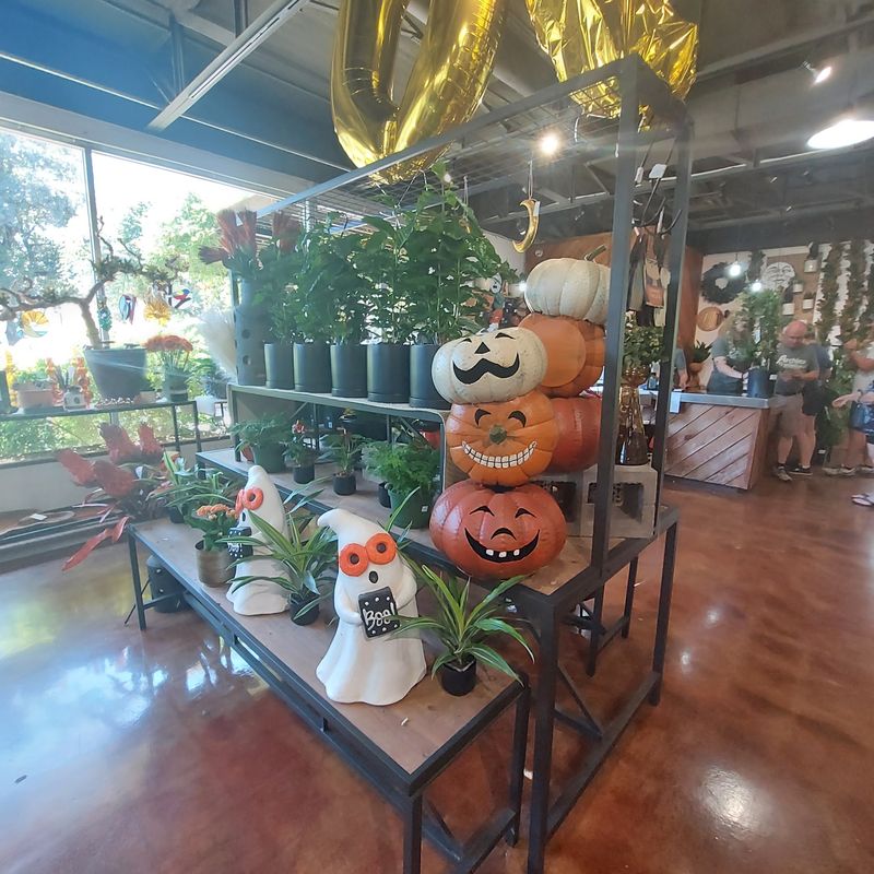 Seasonal Displays and Fall Pumpkins Seasonal Displays and Fall Pumpkins