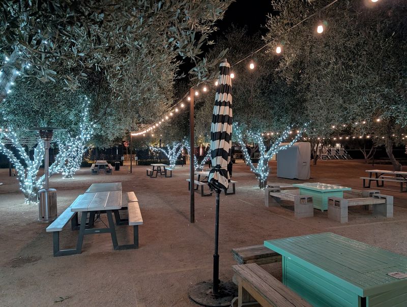 Seats Beneath the Olive Trees