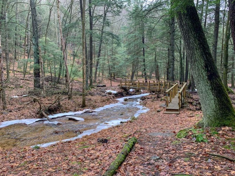Seneca Trail at Cook Forest State Park, Cooksburg