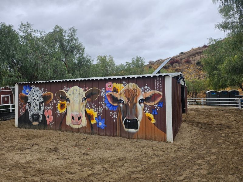 Shade Trees, Mountain Views, and a Barn Straight From a Storybook
