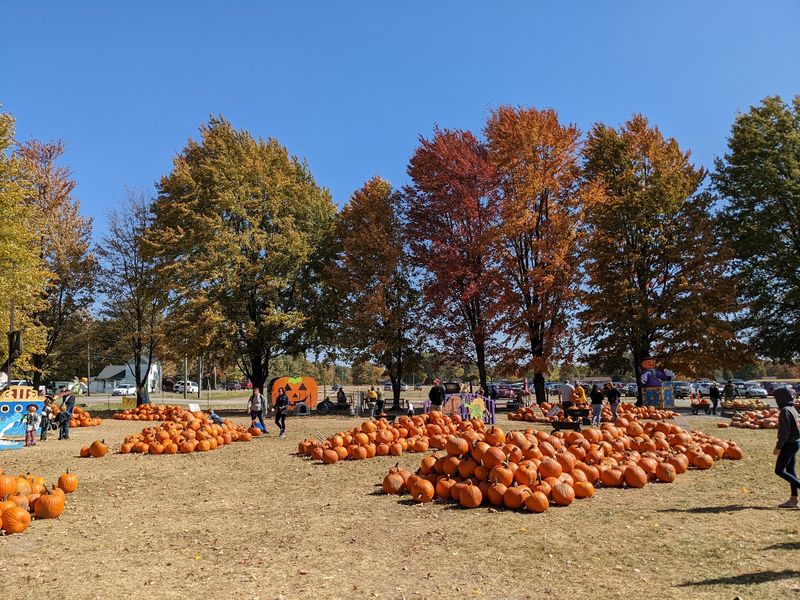 Shaw Farms, Milford