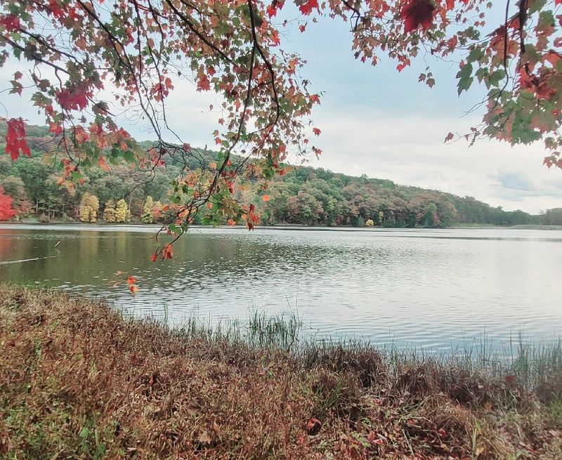 Shawnee State Park: Southern Ohio's Rich Woodland Color