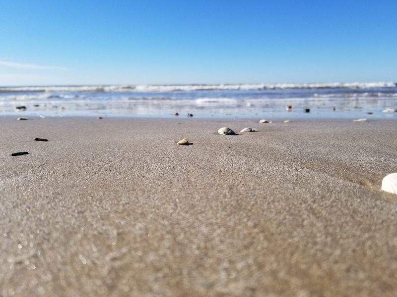 Shell Hunting Without the Elbow Wars Shell Hunting Without the Elbow Wars