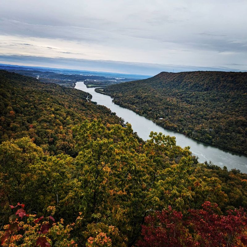 Signal Mountain