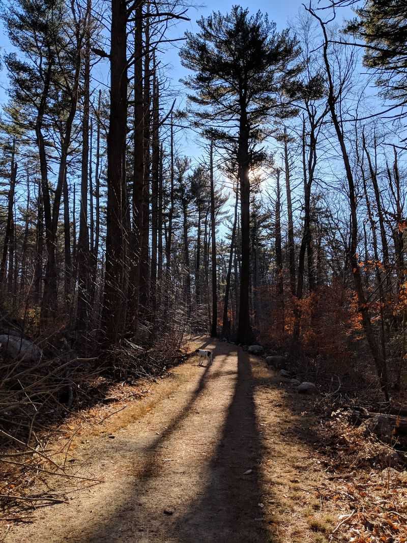 Six Hundred Acres Of Room To Wander Six Hundred Acres Of Room To Wander