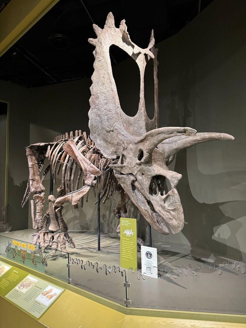 Skeletons That Steal the Show