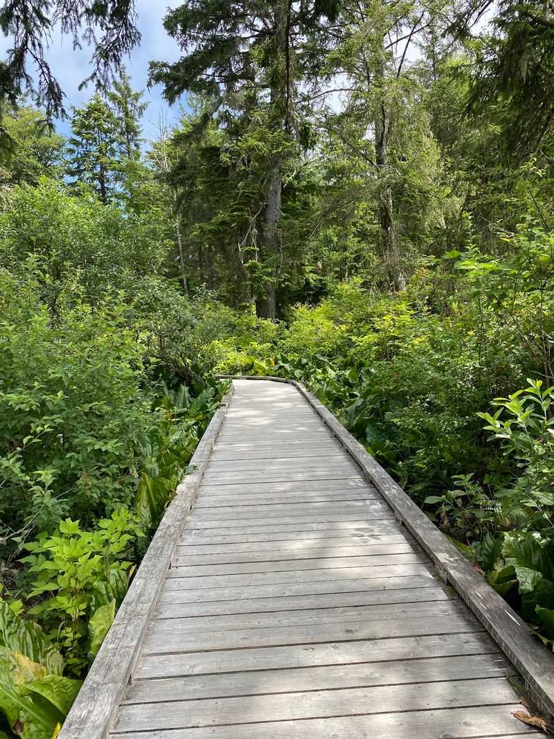 Slippery Boards and Smart Shoes