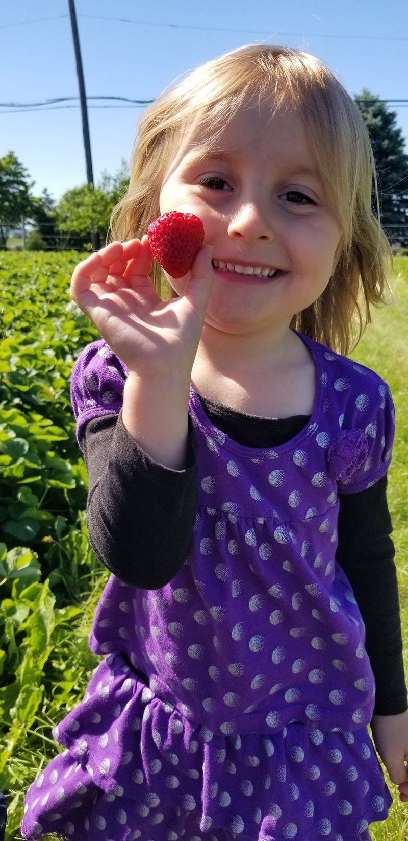 Small Hands, Big Berry Discoveries Small Hands, Big Berry Discoveries