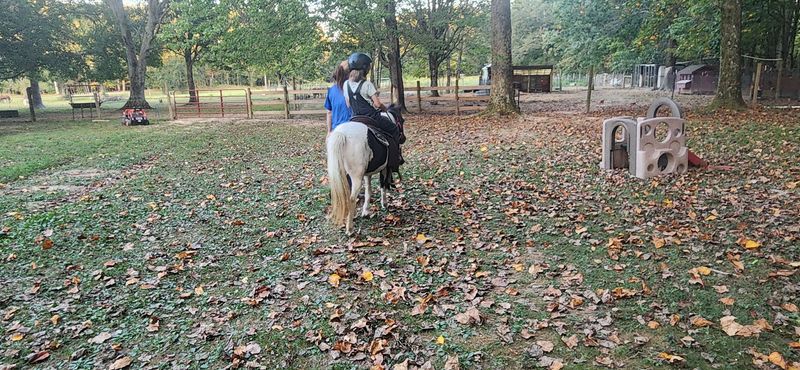 Small Wonders Farm in Westmoreland Small Wonders Farm in Westmoreland