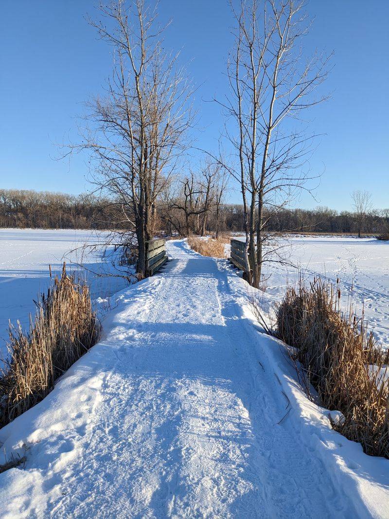 Snow, Skis, and Quiet Trails