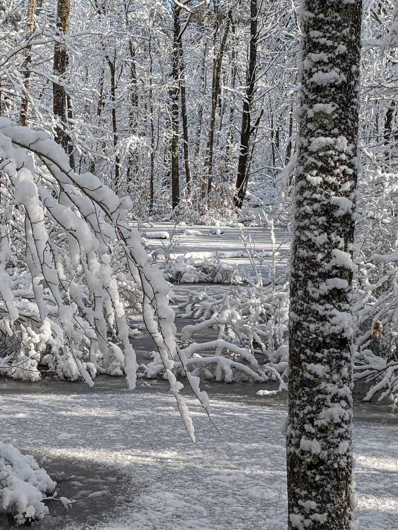 Snow Turns The Trails Into A Ski Route Snow Turns The Trails Into A Ski Route