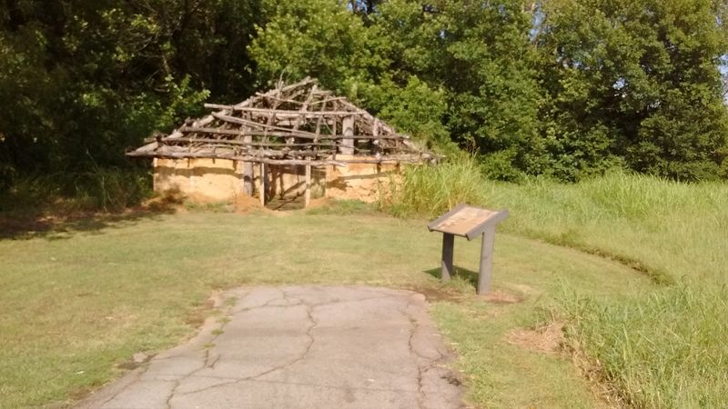 Solstice Walks Worth Planning Around Solstice Walks Worth Planning Around