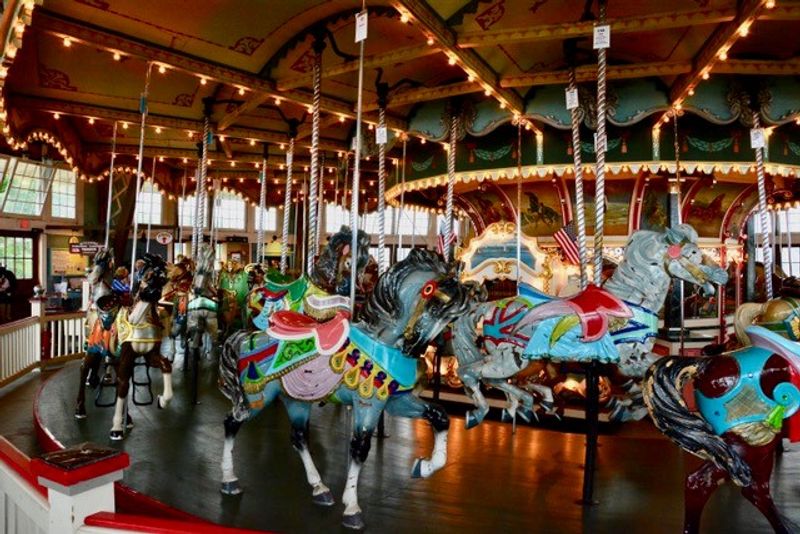 Some Horses Have Been Carrying Riders For Nearly A Century Some Horses Have Been Carrying Riders For Nearly A Century