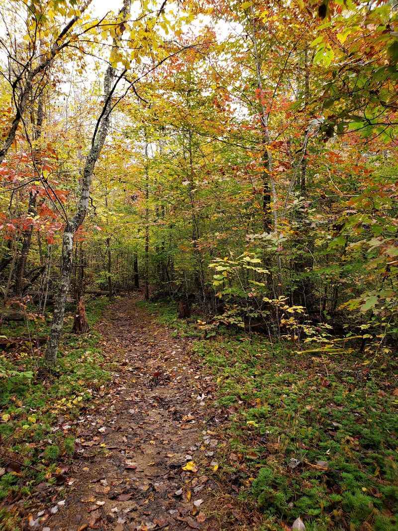 Some of the Creepiest Moments Happen Along the Park's Quiet Trails Some of the Creepiest Moments Happen Along the Park's Quiet Trails