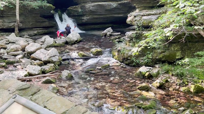 Splashing, Swimming, and Family Outings