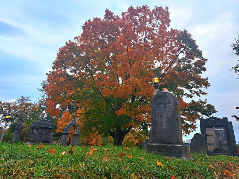 Spring Dogwoods And Fall Colors Make Timing Your Visit Tricky Spring Dogwoods And Fall Colors Make Timing Your Visit Tricky
