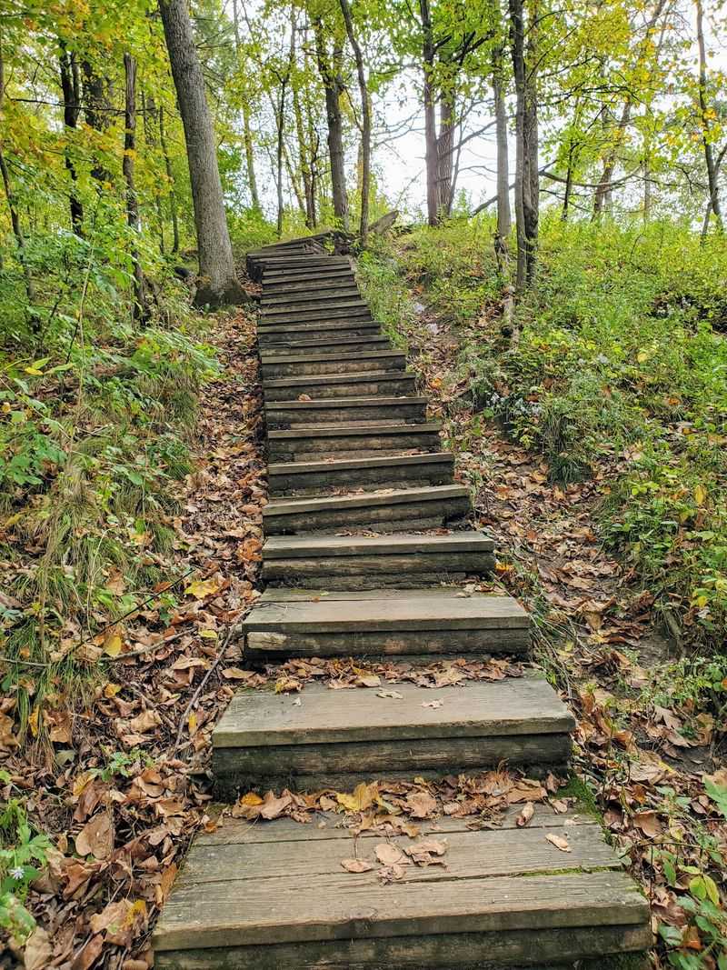 Stairs Up Coyote Point