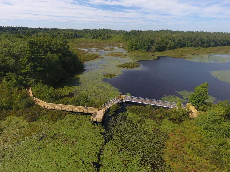 Stony Brook Wildlife Sanctuary Stony Brook Wildlife Sanctuary