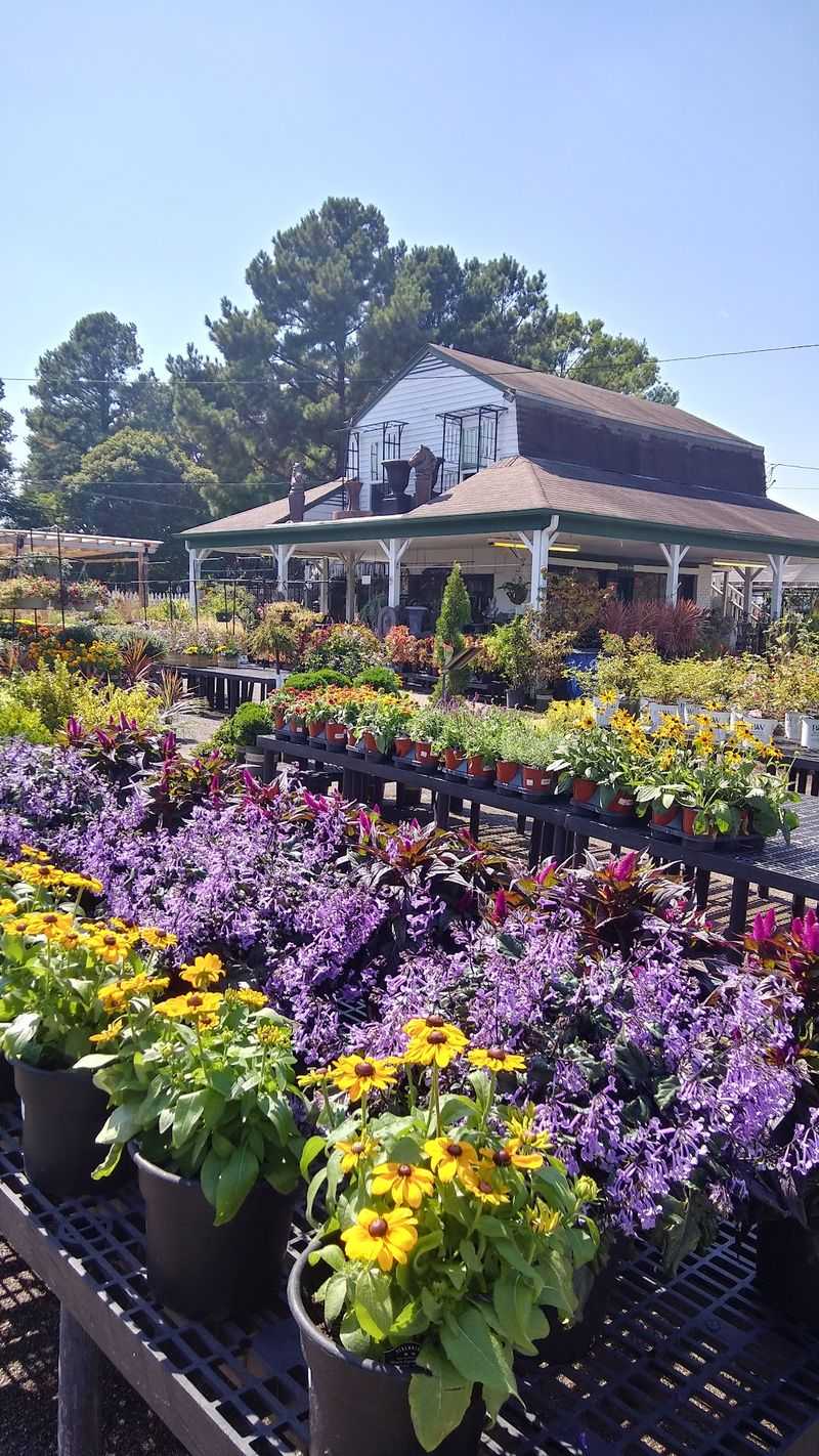 Stringer's Poplar Pointe Garden Center, Germantown, TN