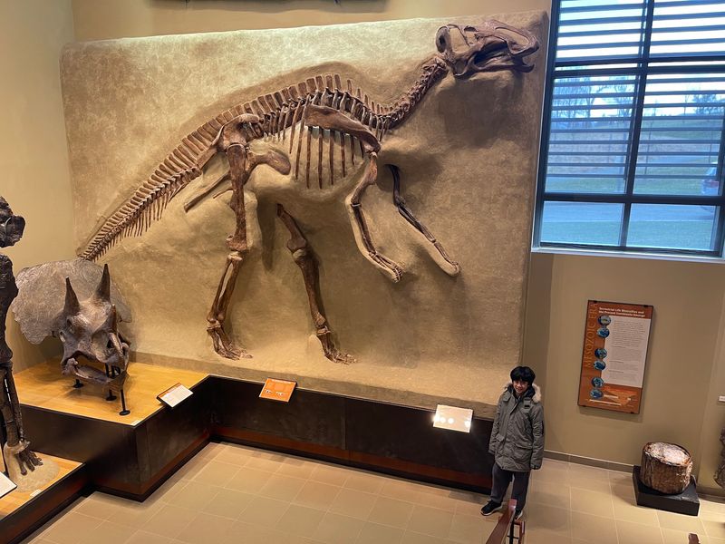 Student Docents Who Know Their Stuff
